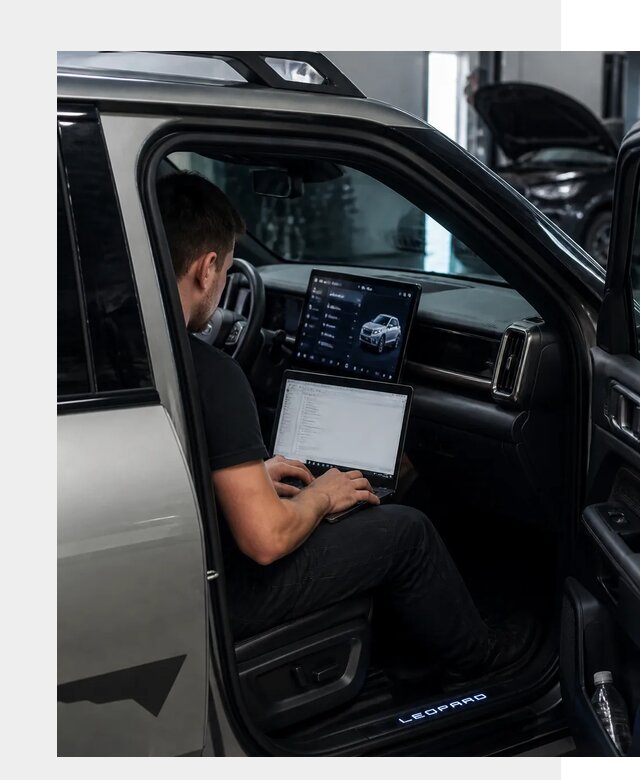 Русификация BYD Leopard 3 в Пензе по цене от 20427 р. | ФастМобиль-Пнз